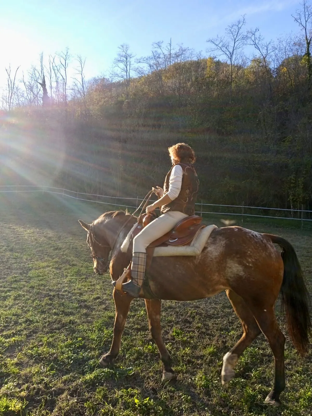 Passeggiate a cavallo