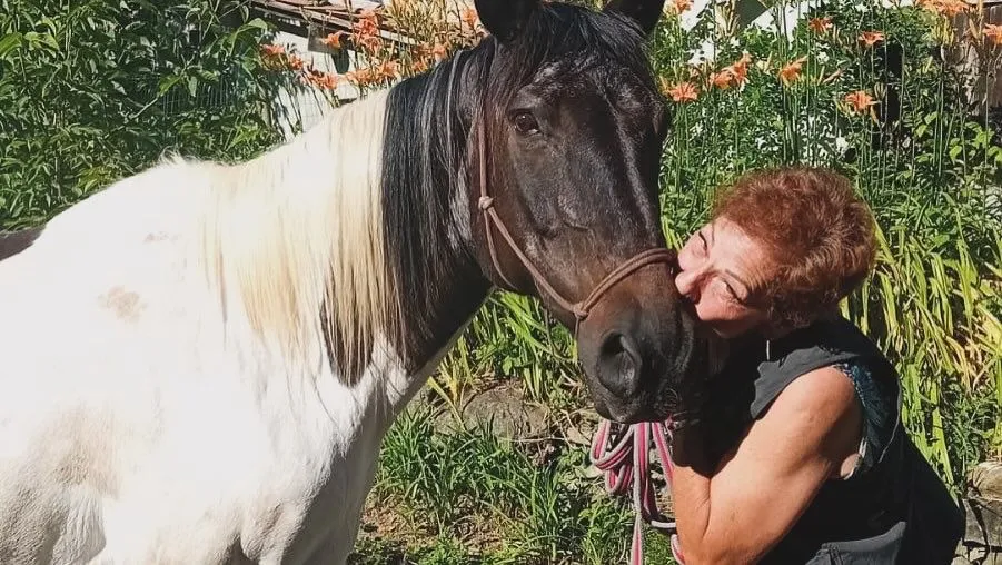 Lezioni di equitazione