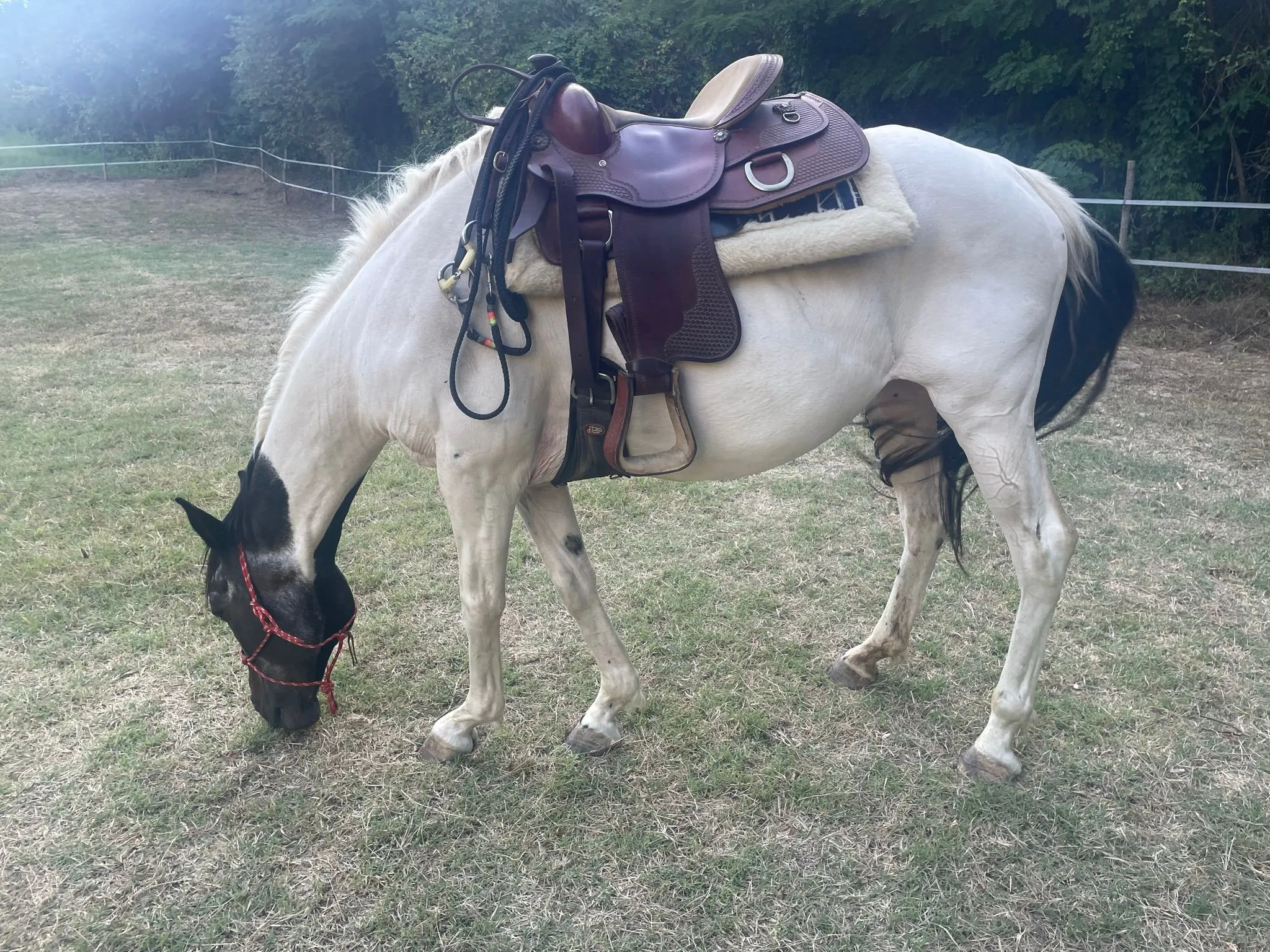 Passeggiata panoramica